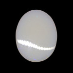 Australian Opal With Fire - 7.41 Carat / 8.00 Ratti